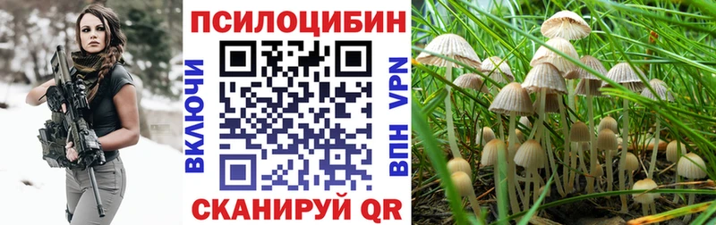 Псилоцибиновые грибы Psilocybine cubensis  Бодайбо 
